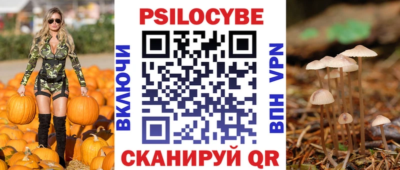 mega как войти  Богучар  Галлюциногенные грибы прущие грибы 