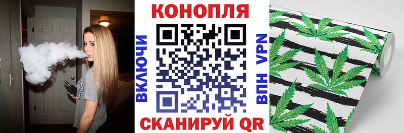 где найти наркотики  OMG ТОР  Бошки марихуана гибрид  Богучар 
